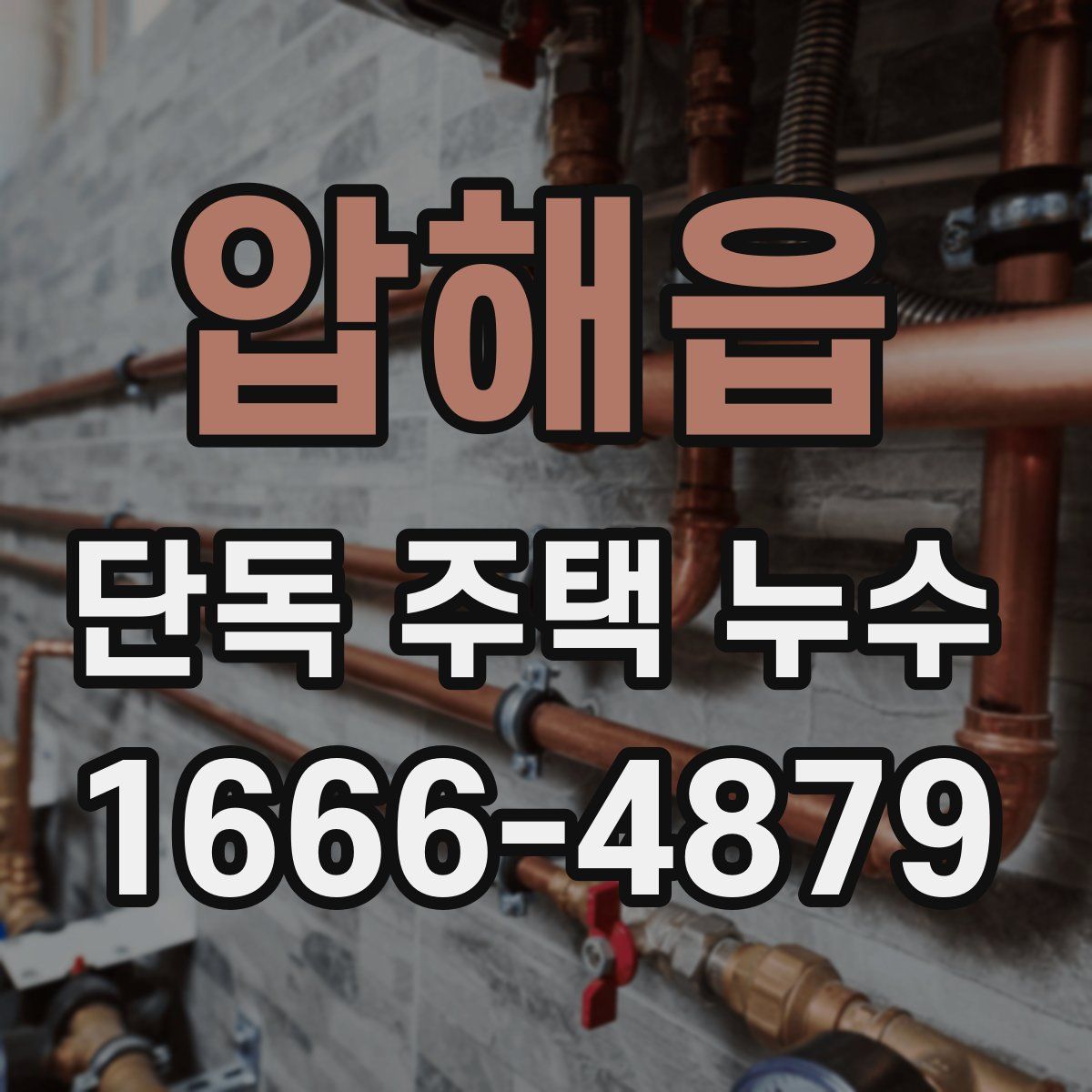 압해읍 단독 주택 누수
