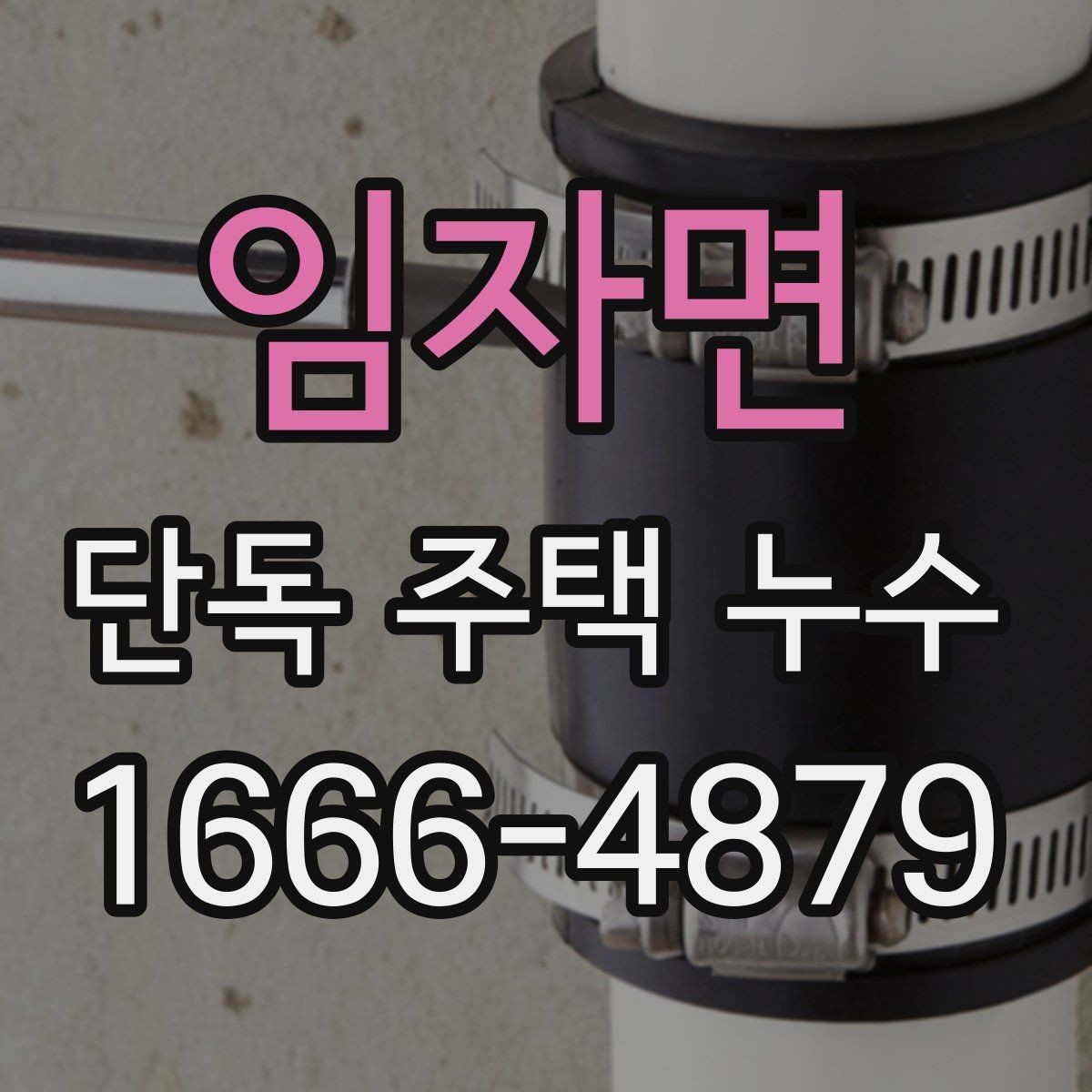임자면 단독 주택 누수 공사 전 견적서에서 볼 항목