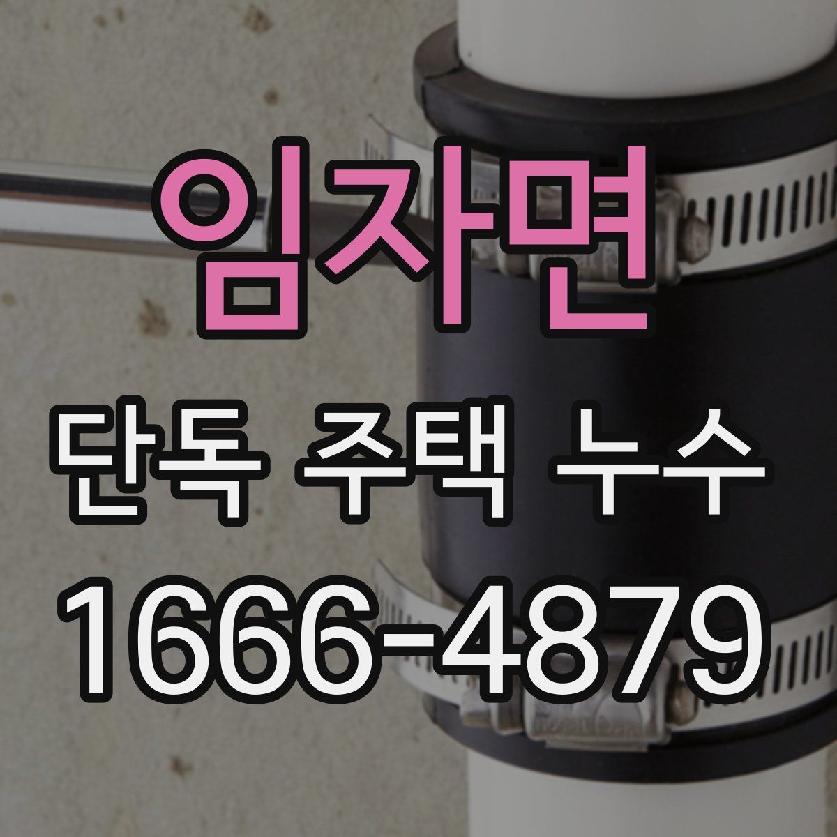임자면 단독 주택 누수