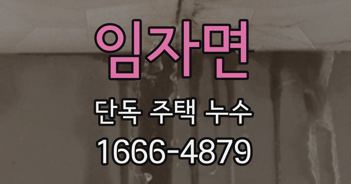 임자면 단독 주택 누수