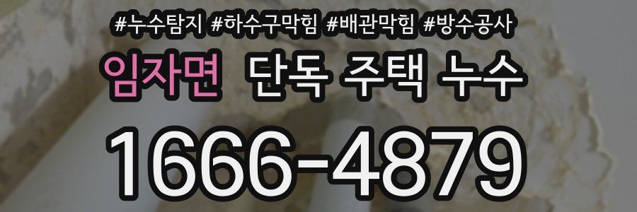 임자면 단독 주택 누수