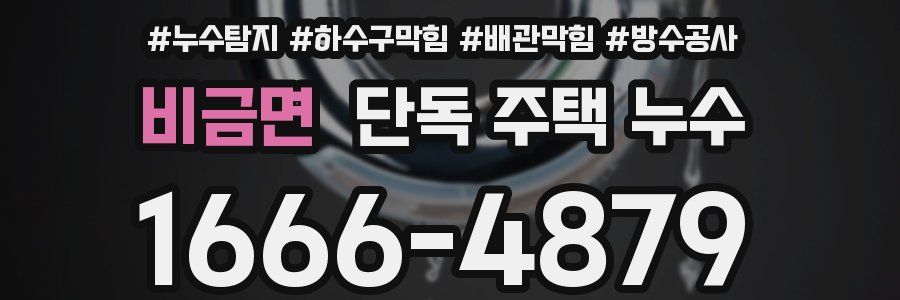 비금면 단독 주택 누수