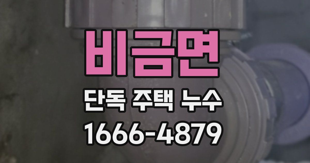 비금면 단독 주택 누수