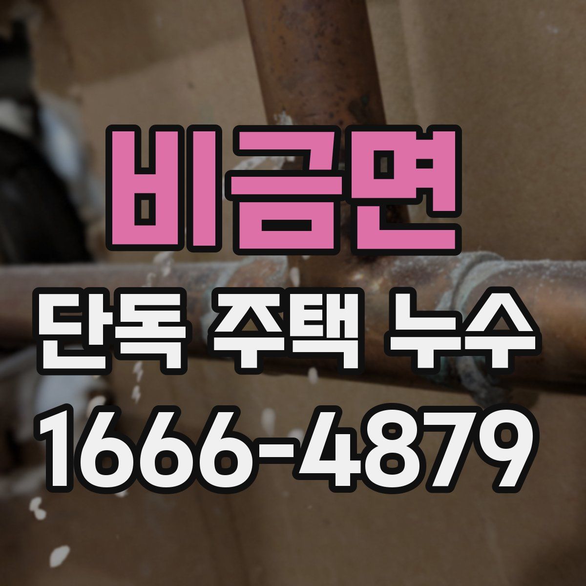비금면 단독 주택 누수