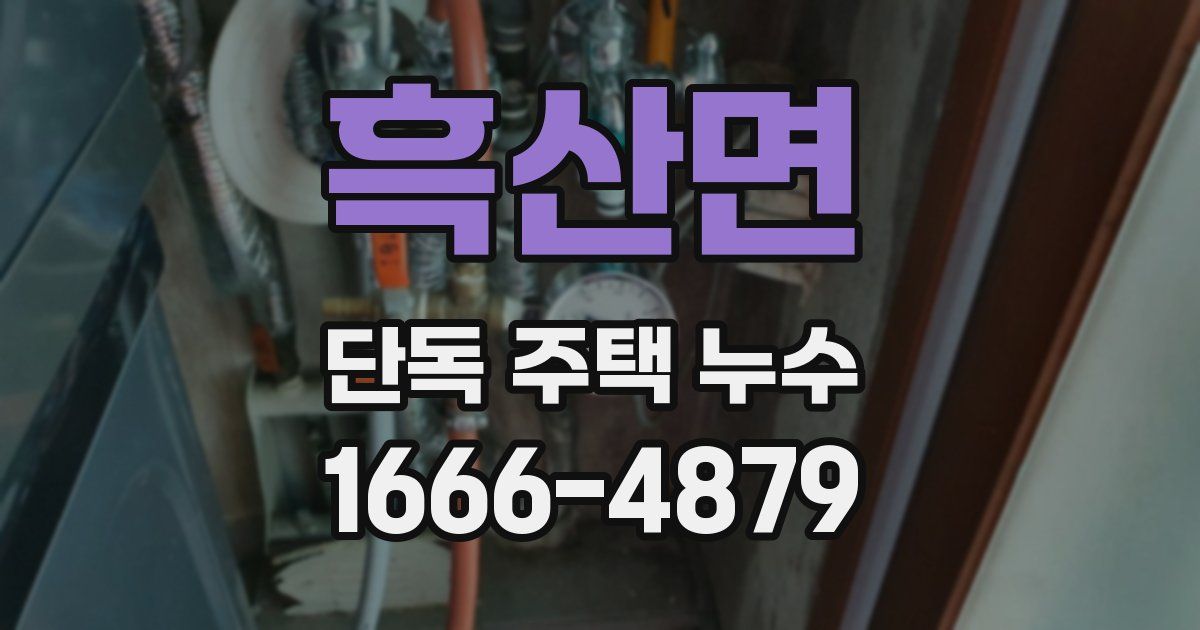 흑산면 단독 주택 누수