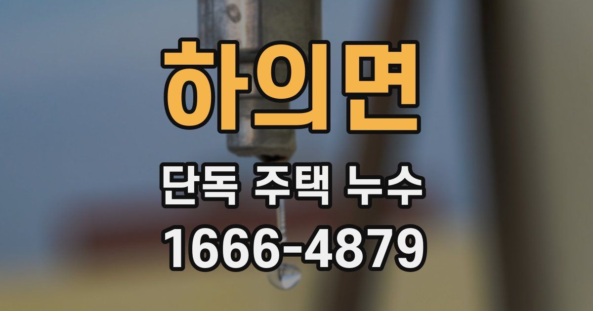 하의면 단독 주택 누수