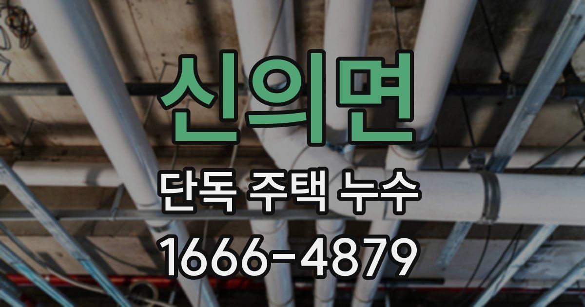 신의면 단독 주택 누수