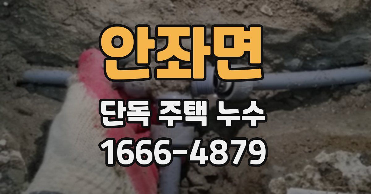 안좌면 단독 주택 누수