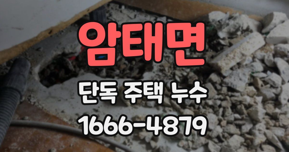 암태면 단독 주택 누수