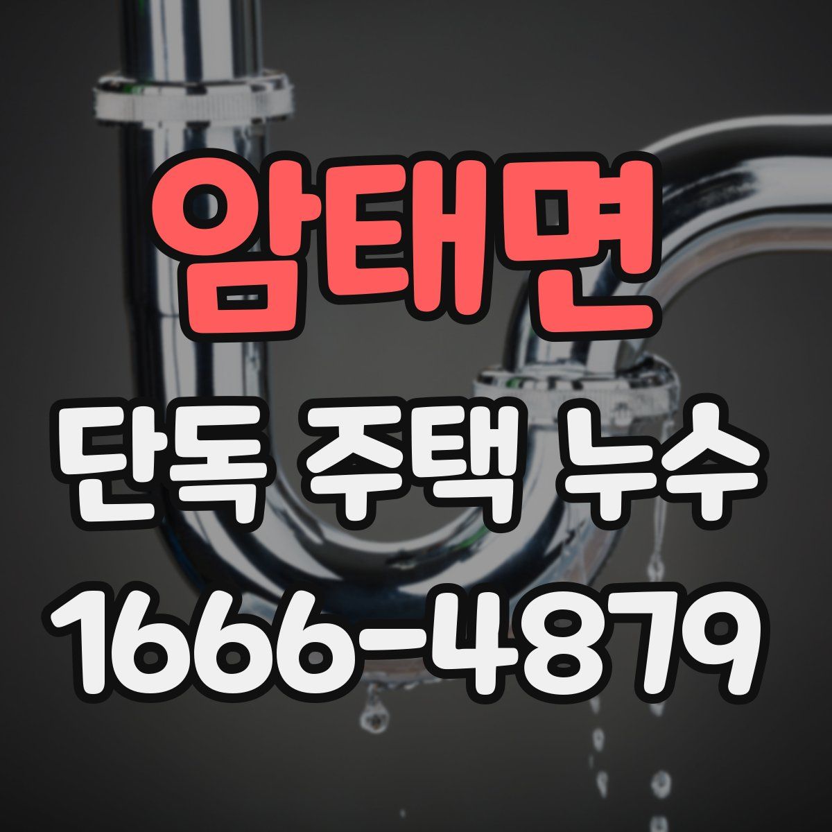 암태면 단독 주택 누수
