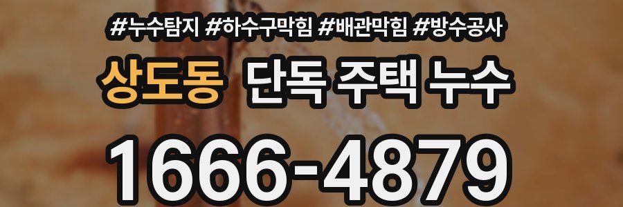 상도동 단독 주택 누수
