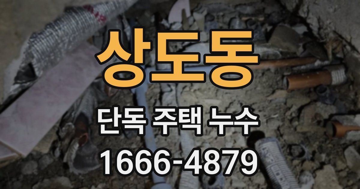 상도동 단독 주택 누수