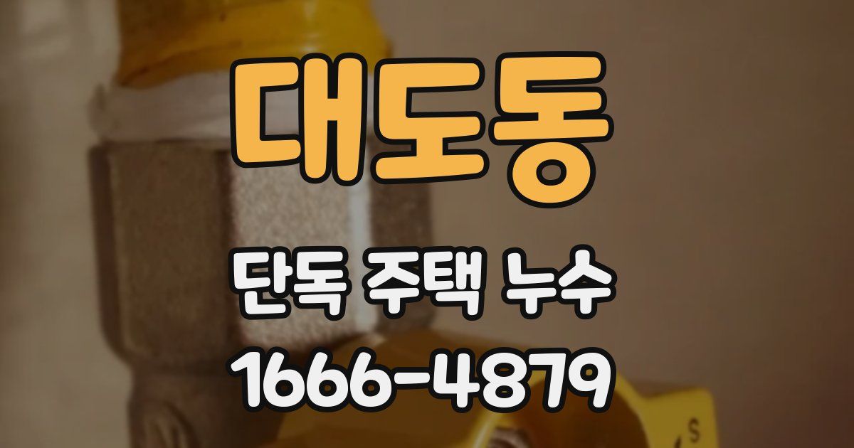 대도동 단독 주택 누수