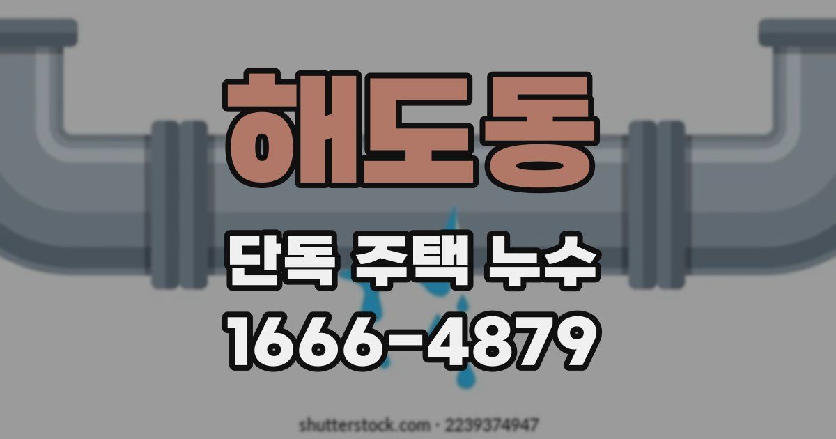 해도동 단독 주택 누수