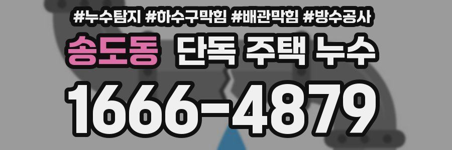 송도동 단독 주택 누수