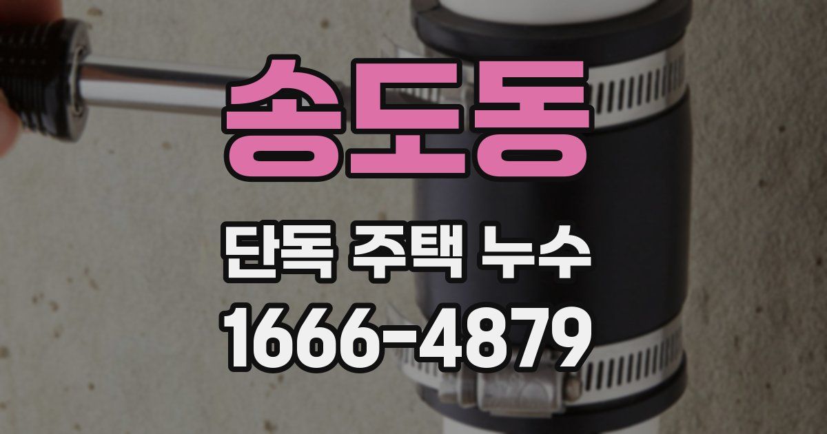 송도동 단독 주택 누수