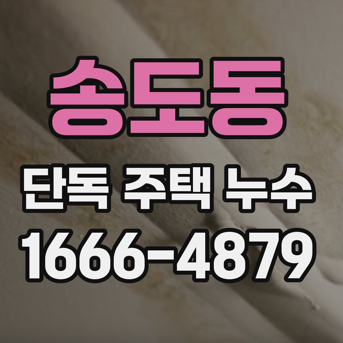 송도동 단독 주택 누수
