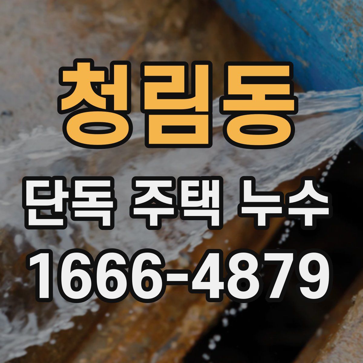 청림동 단독 주택 누수