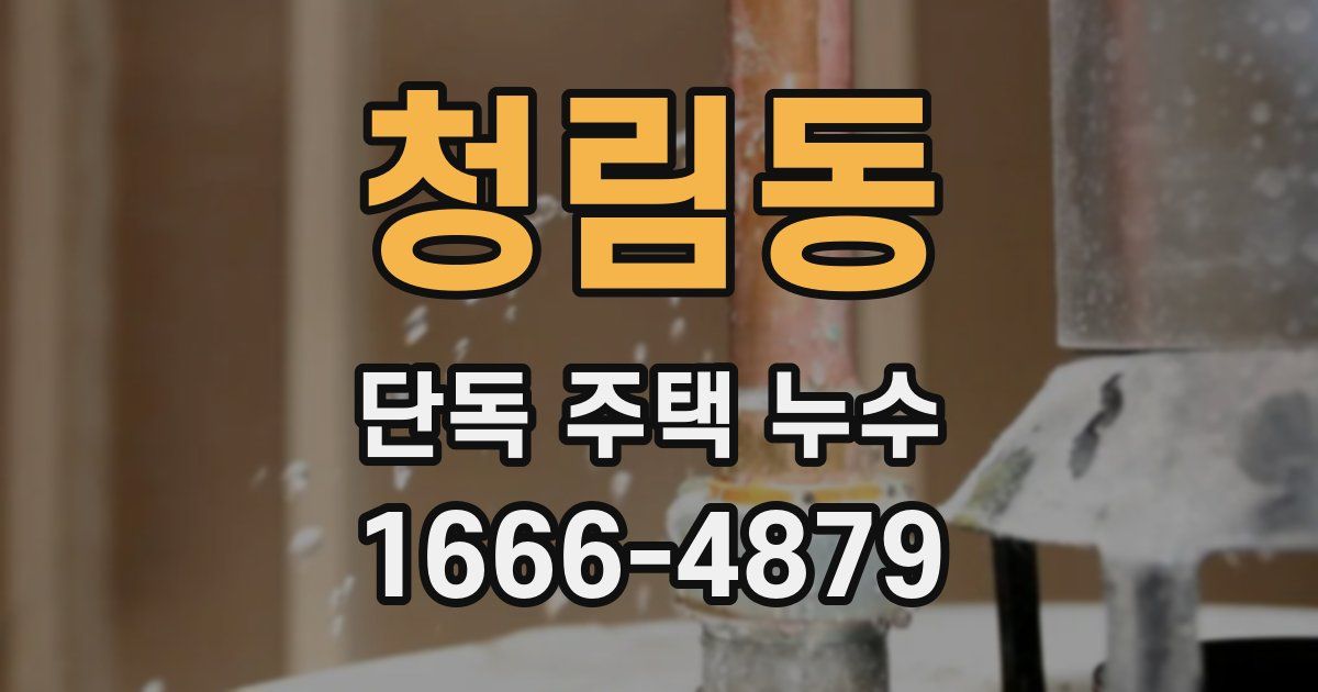 청림동 단독 주택 누수