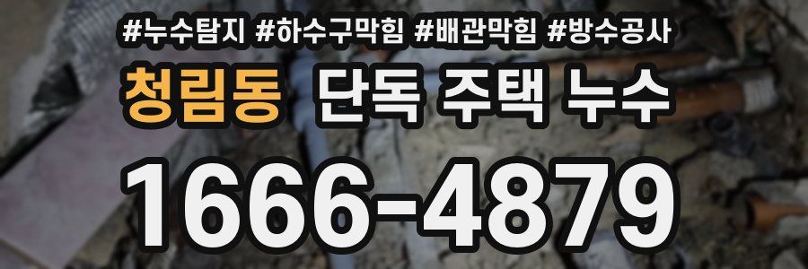 청림동 단독 주택 누수