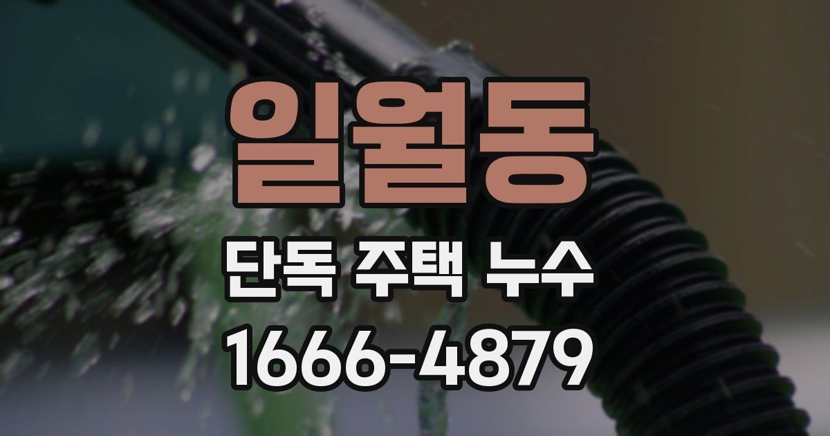 일월동 단독 주택 누수