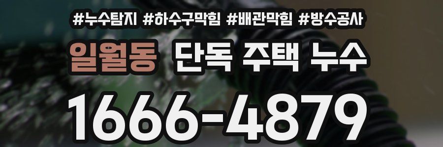 일월동 단독 주택 누수