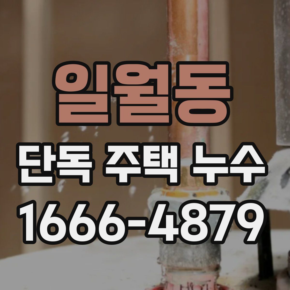 일월동 단독 주택 누수