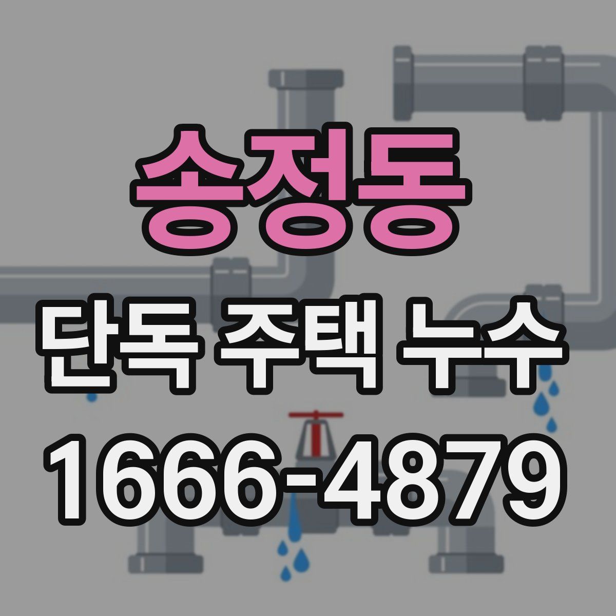 송정동 단독 주택 누수
