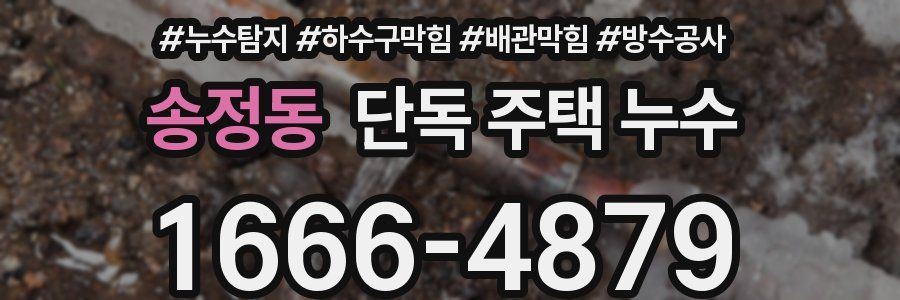 송정동 단독 주택 누수