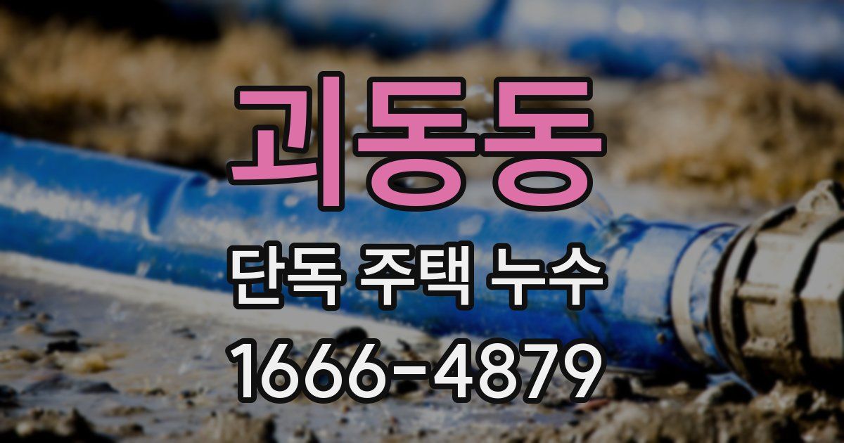 괴동동 단독 주택 누수