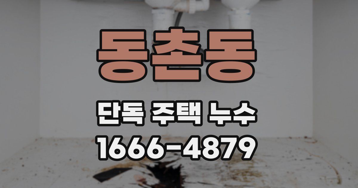 동촌동 단독 주택 누수