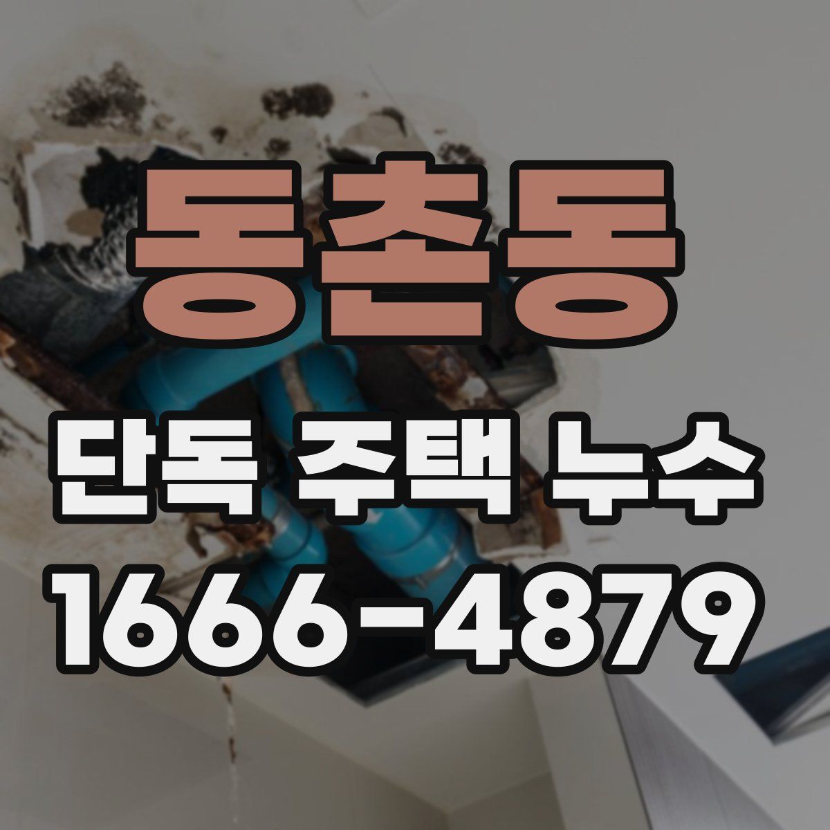 동촌동 단독 주택 누수
