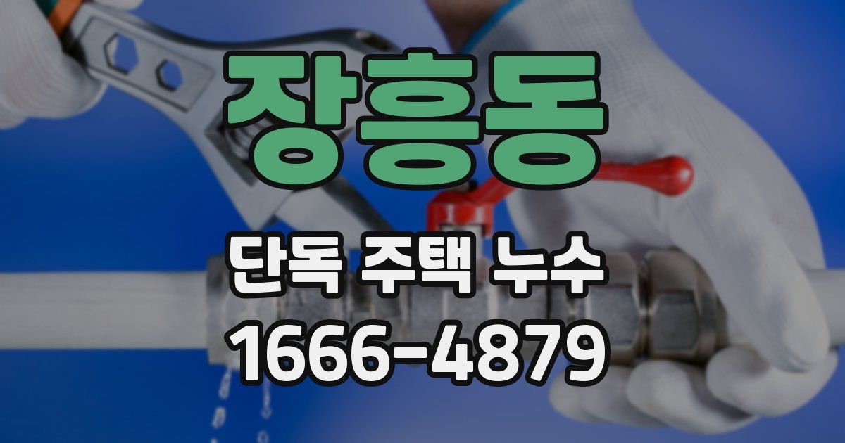장흥동 단독 주택 누수
