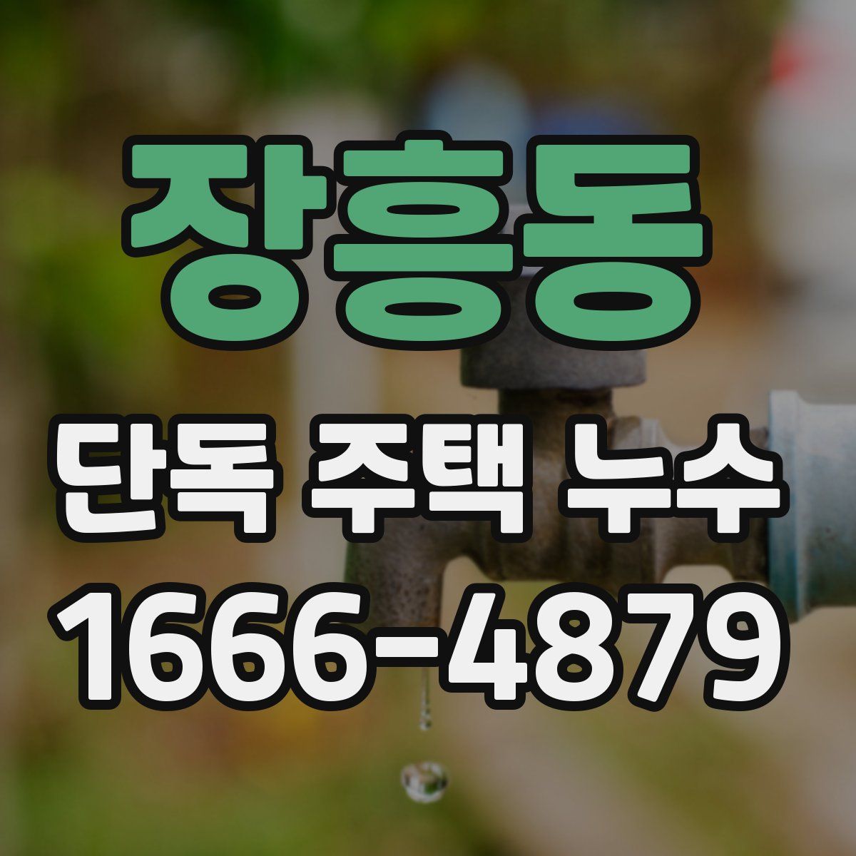 장흥동 단독 주택 누수