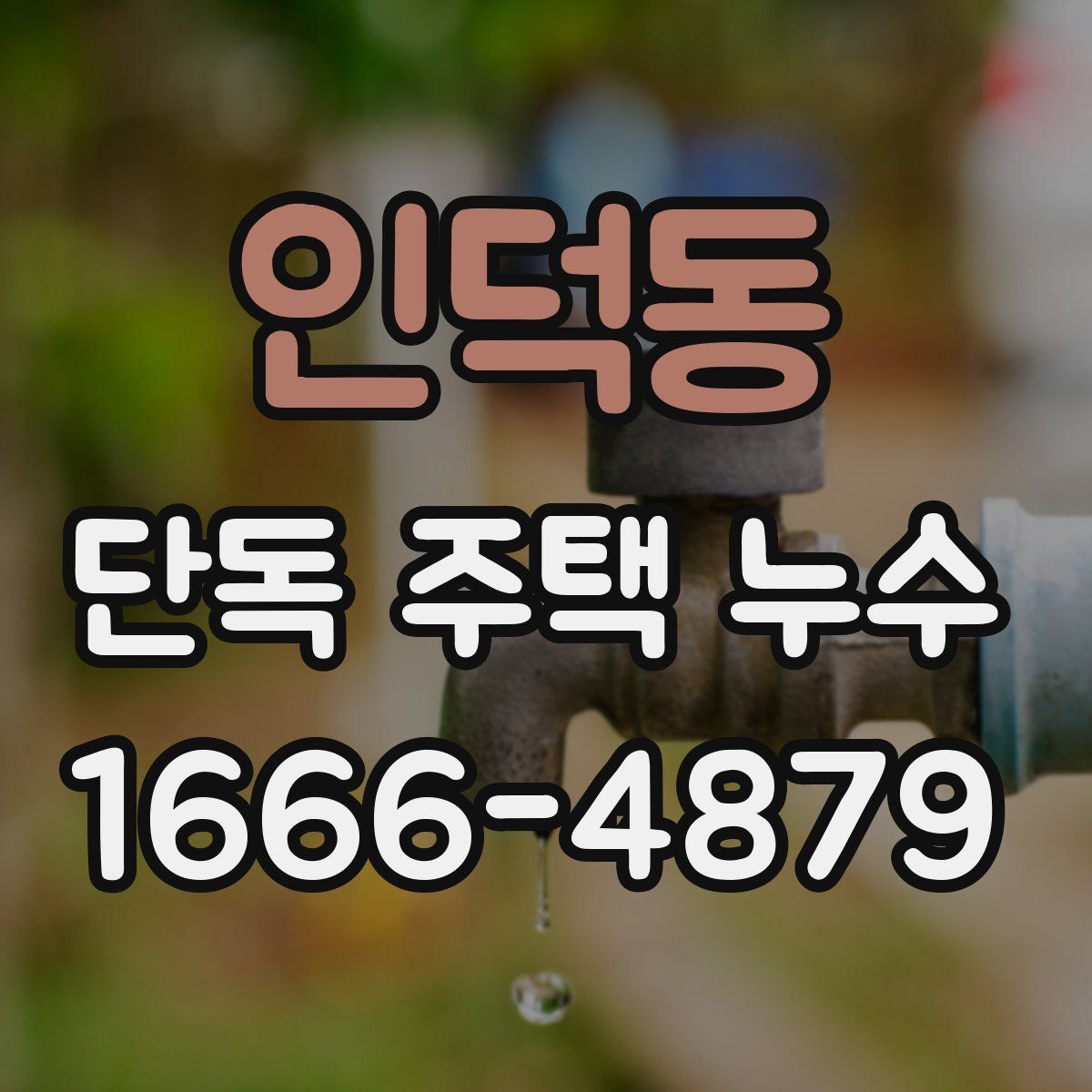 인덕동 단독 주택 누수