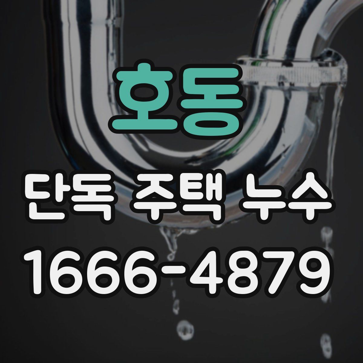 호동 단독 주택 누수
