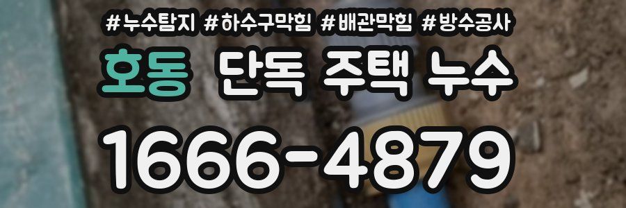 호동 단독 주택 누수