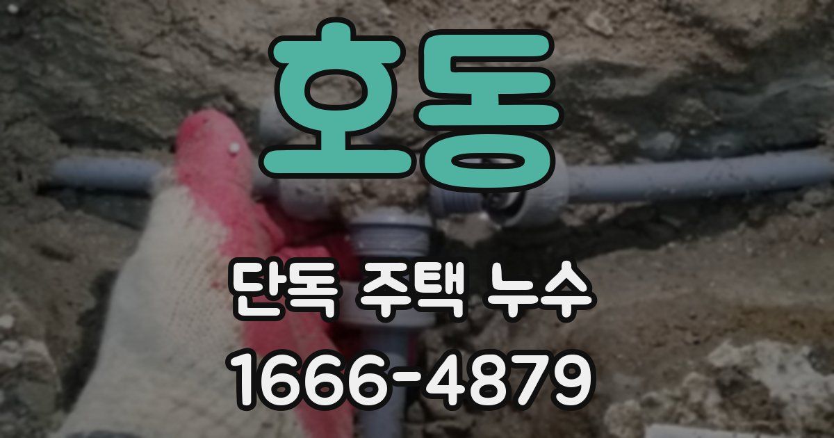호동 단독 주택 누수