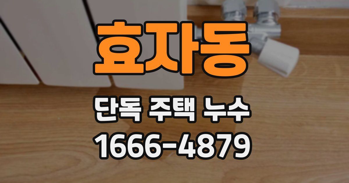 효자동 단독 주택 누수