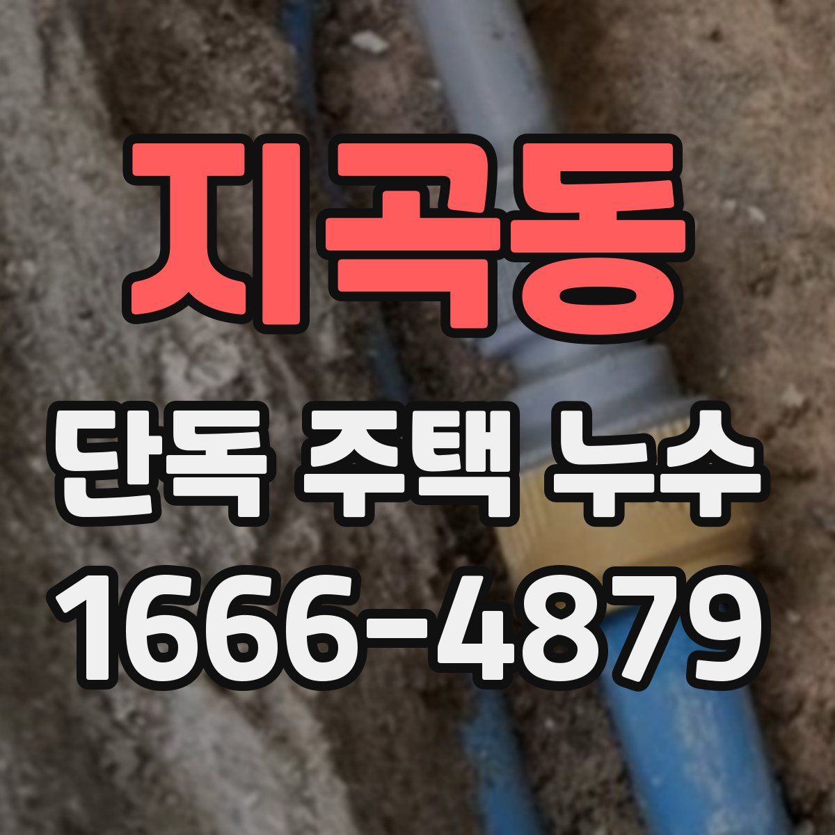 지곡동 단독 주택 누수