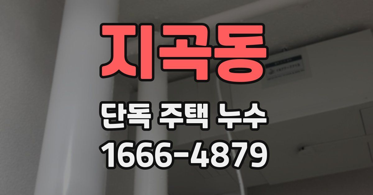 지곡동 단독 주택 누수