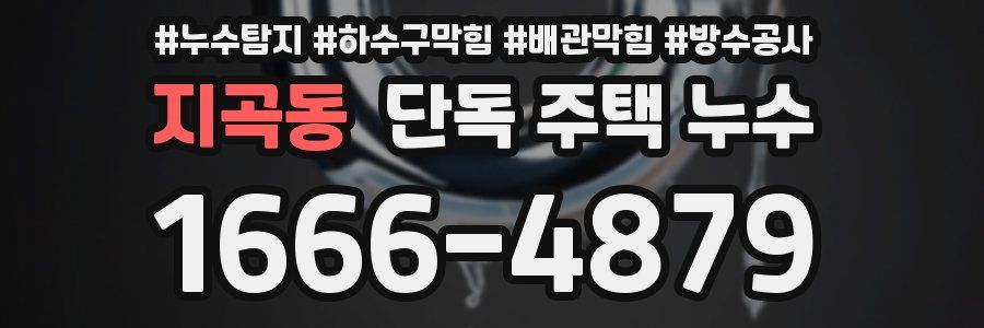 지곡동 단독 주택 누수