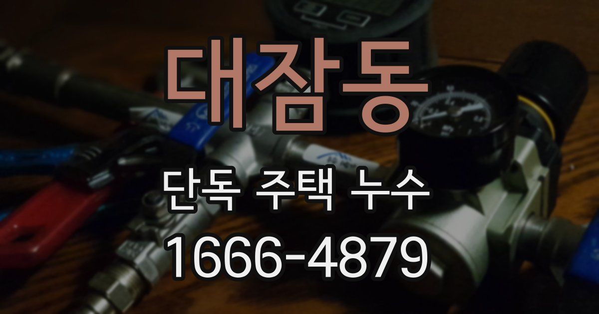 대잠동 단독 주택 누수