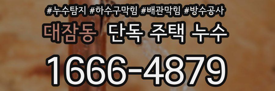 대잠동 단독 주택 누수