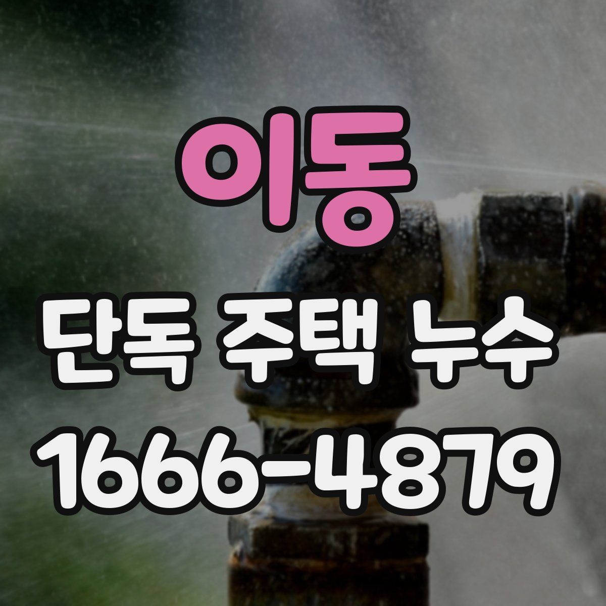 이동 단독 주택 누수