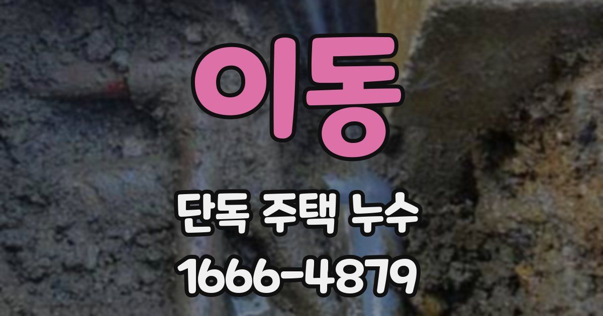 이동 단독 주택 누수
