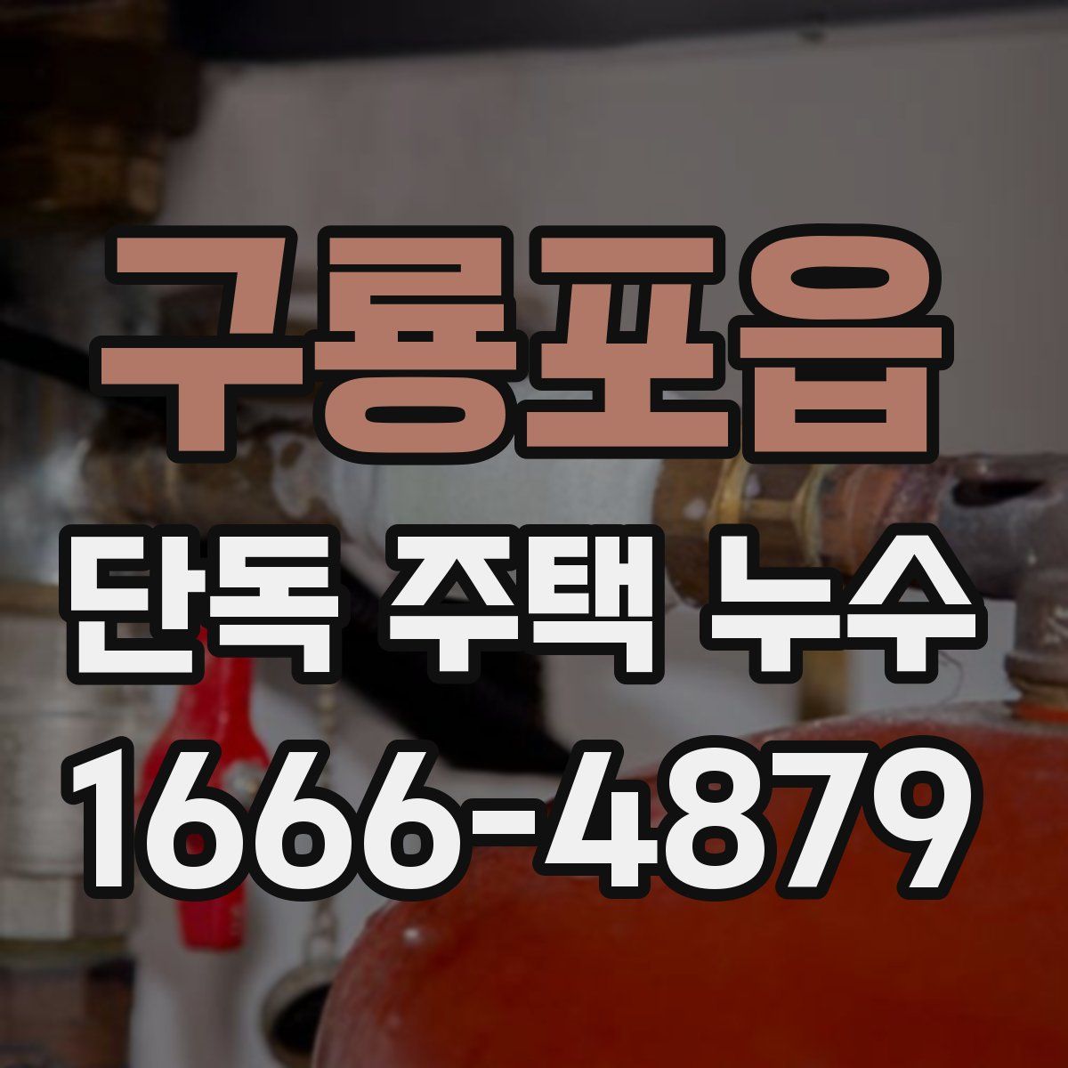 구룡포읍 단독 주택 누수