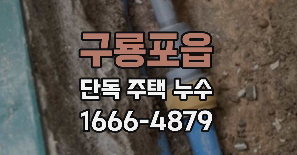 구룡포읍 단독 주택 누수