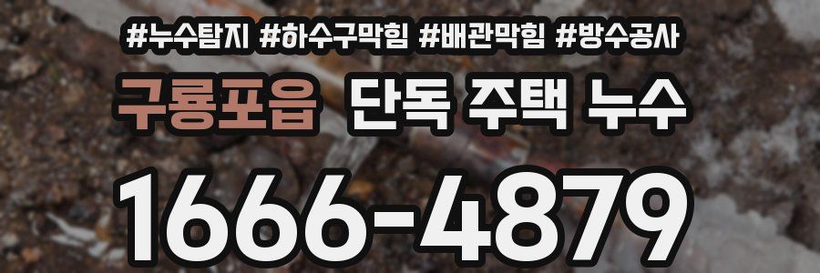 구룡포읍 단독 주택 누수