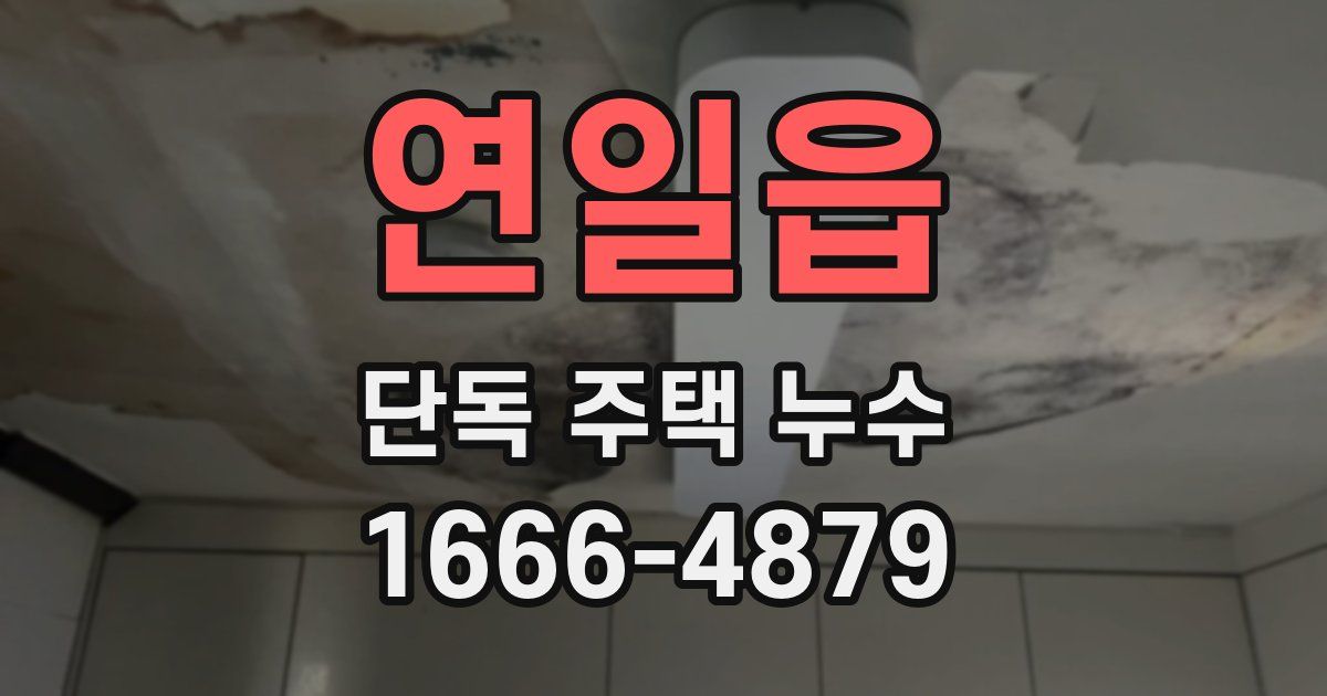 연일읍 단독 주택 누수